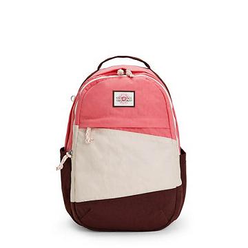 Bolsas Para Portatil Kipling Xavi 15" Backpack Rosas Beige | MX 1673GS